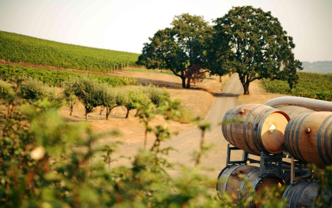 HARVEST IN THE VALLEY