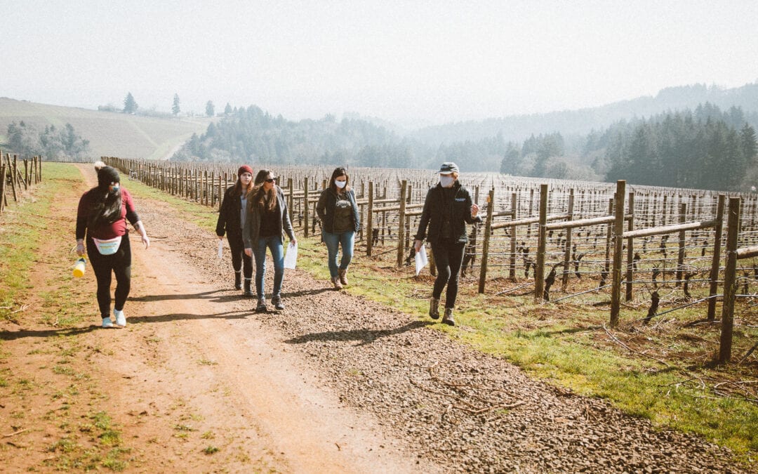 Hiking Among the Vines