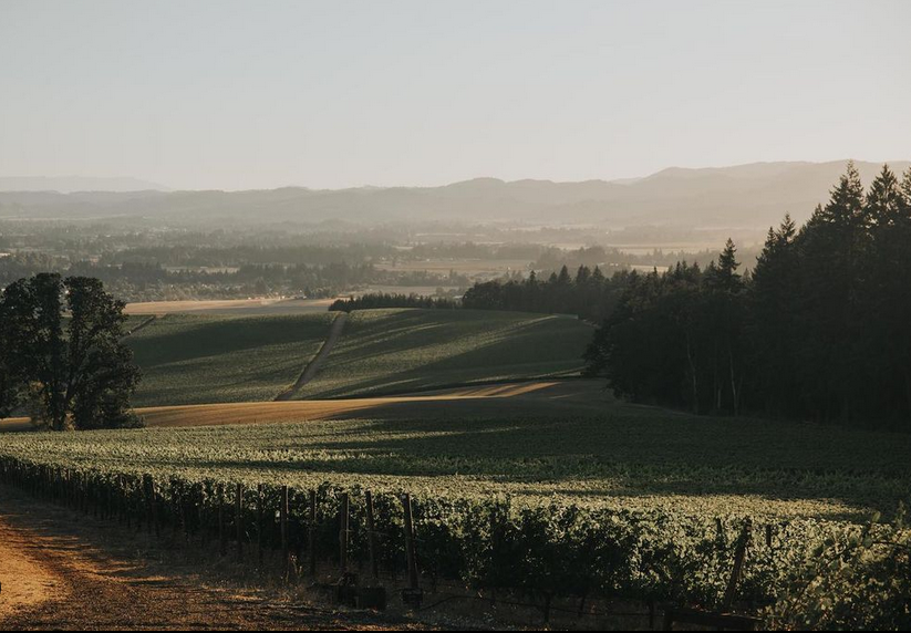 oregon vinew