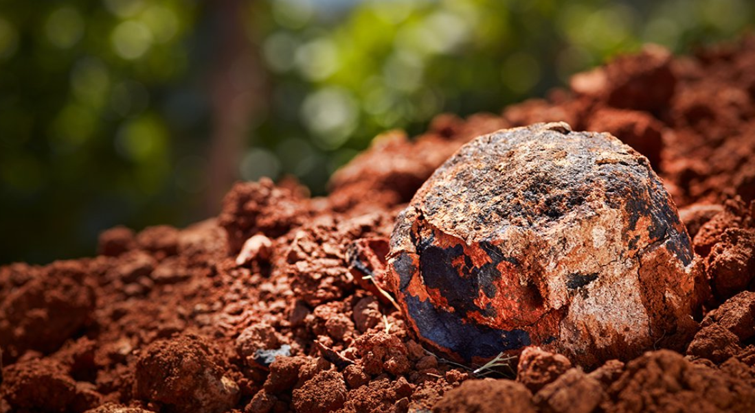 The downright DIRT-Y truth about the Willamette Valley's Soil - The Dundee